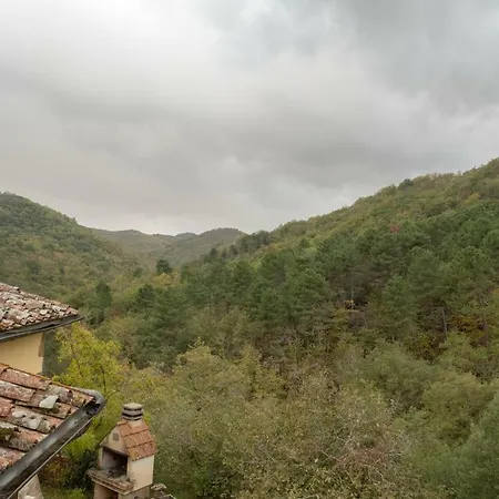 Gallo Nero Cavriglia